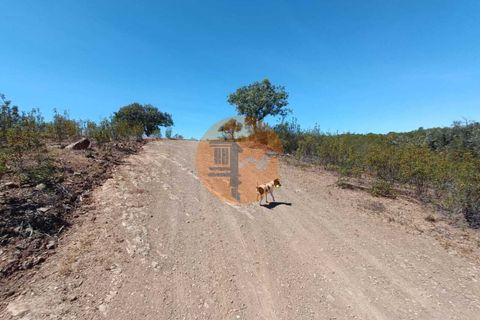 Helårsgrund i Castro Marim, Faro, Castro Marim - € 16.900 | Ref: SU-CS-TR-89634 - foto 21