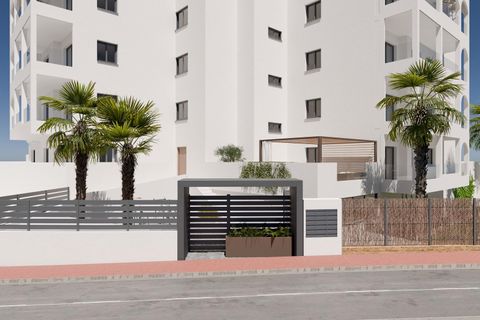 Àtic a Bigastro, Alicante, Bigastro - € 209.900 | Ref: SDP05337OM/3696 - foto 17