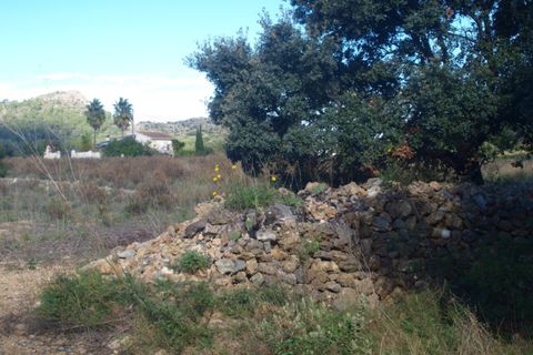 Terra a Murla, Alicante, Murla - € 100.000 | Ref: 001795 - foto 2
