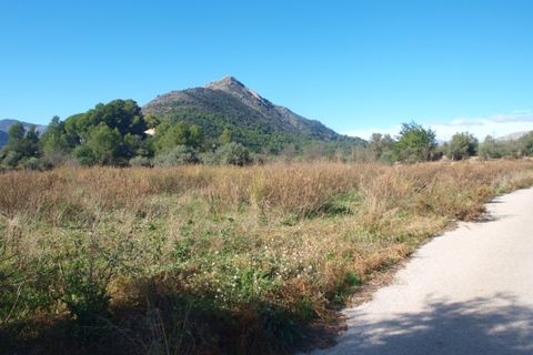 Terra a Murla, Alicante, Murla - € 100.000 | Ref: 001795 - foto 5