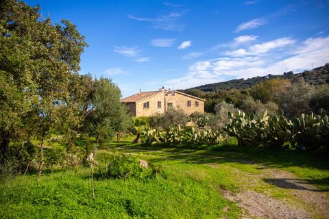 Villa a Caronia, Messina, Caronia - € 795.000 | Ref: Villa Valeria - Caronia - foto 34