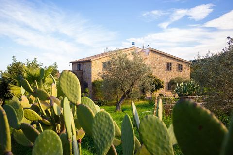 Villa a Caronia, Messina, Caronia - € 795.000 | Ref: Villa Valeria - Caronia - foto 40