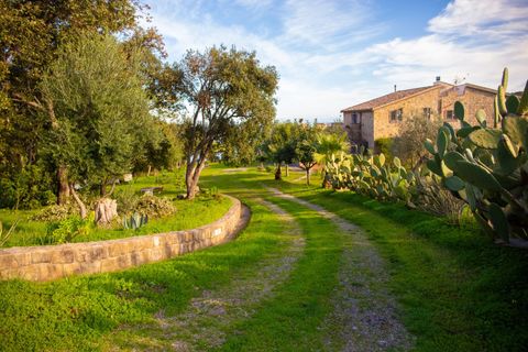 Villa a Caronia, Messina, Caronia - € 795.000 | Ref: Villa Valeria - Caronia - foto 42