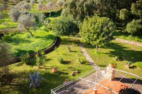 Villa a Caronia, Messina, Caronia - € 795.000 | Ref: Villa Valeria - Caronia - foto 47