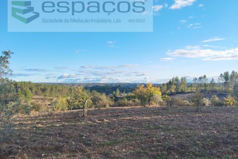 Helårsgrund i Castelo Branco, Castelo Branco, Castelo Branco - € 19.500 | Ref: 5725/AC - foto 4