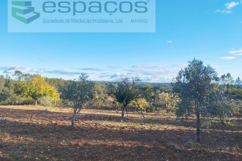 Helårsgrund i Castelo Branco, Castelo Branco, Castelo Branco - € 19.500 | Ref: 5725/AC - foto 2