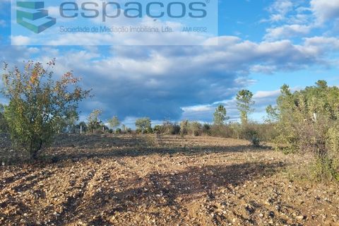 Helårsgrund i Castelo Branco, Castelo Branco, Castelo Branco - € 19.500 | Ref: 5725/AC - foto 3