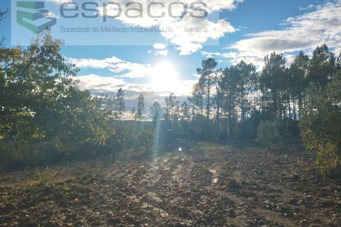 Helårsgrund i Castelo Branco, Castelo Branco, Castelo Branco - € 19.500 | Ref: 5725/AC - foto 5