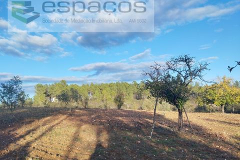 Helårsgrund i Castelo Branco, Castelo Branco, Castelo Branco - € 19.500 | Ref: 5725/AC - foto 7