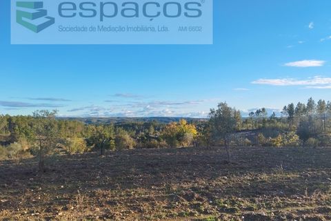 Helårsgrund i Castelo Branco, Castelo Branco, Castelo Branco - € 19.500 | Ref: 5725/AC - foto 8