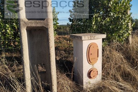 Helårsgrund i Castelo Branco, Castelo Branco, Castelo Branco - € 19.500 | Ref: 5725/AC - foto 10