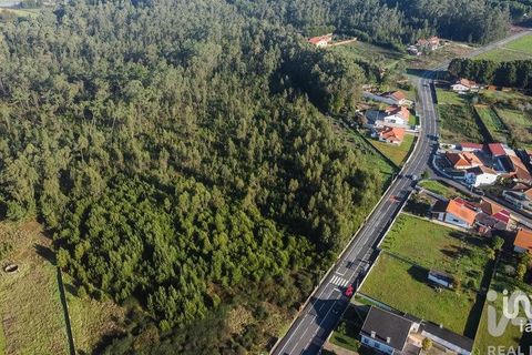 Terra a Estarreja, Aveiro, Estarreja - € 65.000 | Ref: 775175 - foto 4
