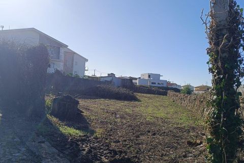 Terra a Caminha, Viana do Castelo, Caminha - € 100.000 | Ref: 721424 - foto 4