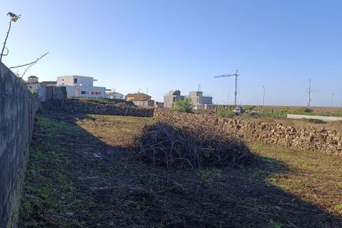 Terra a Caminha, Viana do Castelo, Caminha - € 100.000 | Ref: 721424 - foto 6