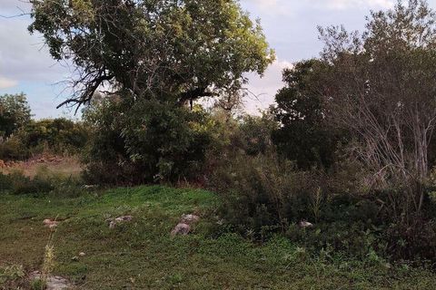 Helårsgrund i Olhao, Faro, Olhao - € 150.000 | Ref: 52276 - foto 6