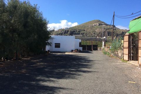 Herregård i Arucas, Gran Canaria, Arucas - € 2 255 000 | Ref: 11232-AMQ/2912 - foto 10