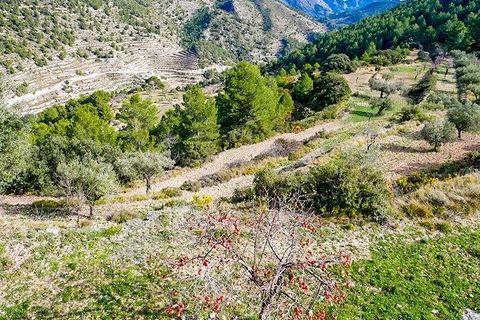 Villa i Relleu, Alicante, Relleu - € 1.650.000 | Ref: 11842-LMN/2912 - foto 23