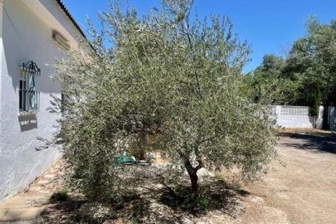 Villa a Jaen, Jaen, Jaen - € 130.000 | Ref: 13509-MLN/2912 - foto 22