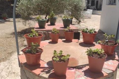 Villa a Jaen, Jaen, Jaen - € 130.000 | Ref: 13509-MLN/2912 - foto 39