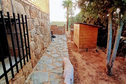 Villa i Matarrubia, Guadalajara, Matarrubia - € 285.000 | Ref: 13538-DVT/2912 - foto 29