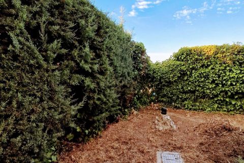 Villa i Matarrubia, Guadalajara, Matarrubia - € 285.000 | Ref: 13538-DVT/2912 - foto 31