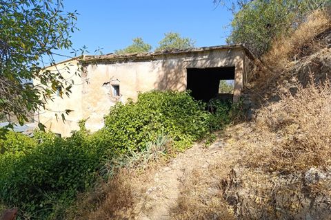 Landejendom i Torvizcon, Granada, Torvizcon - € 199.000 | Ref: 13530-MLL/2912 - foto 23
