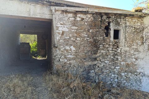 Landejendom i Torvizcon, Granada, Torvizcon - € 199.000 | Ref: 13530-MLL/2912 - foto 25