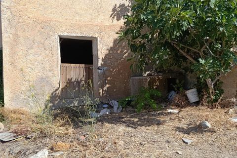 Landejendom i Torvizcon, Granada, Torvizcon - € 199.000 | Ref: 13530-MLL/2912 - foto 27