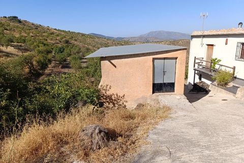 Landejendom i Torvizcon, Granada, Torvizcon - € 199.000 | Ref: 13530-MLL/2912 - foto 31