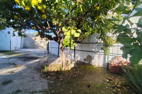 Terra a Gelves, Sevilla, Gelves - € 120.000 | Ref: 13727-CRD/2912 - foto 12