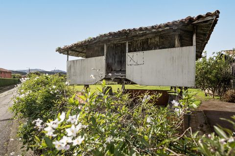 Landejendom i Cudillero, Asturias, Cudillero - € 279.000 | Ref: 13728-NTL/2912 - foto 14