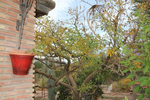 Villa a Totana, Murcia, Totana - € 394.000 | Ref: 13779-CLQ/2912 - foto 20