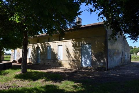 Villa i Saint-Emilion, Gironde, Saint-Emilion - € 1.696.000 | Ref: MZ1007 - foto 2