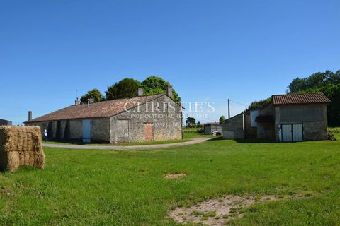 Villa i Saint-Emilion, Gironde, Saint-Emilion - € 1.696.000 | Ref: MZ1007 - foto 4