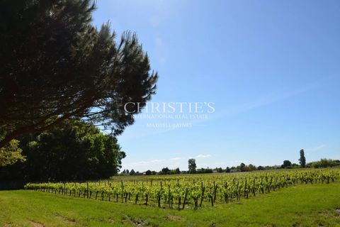 Villa i Saint-Emilion, Gironde, Saint-Emilion - € 1.696.000 | Ref: MZ1007 - foto 7