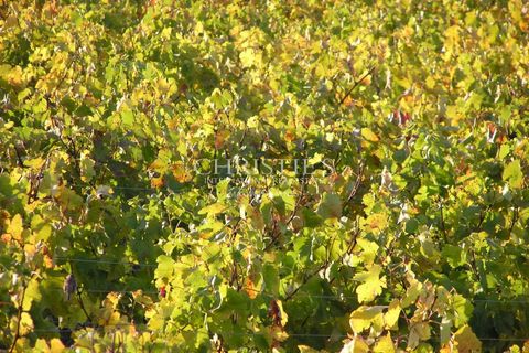 Villa i Saint-Emilion, Gironde, Saint-Emilion - € 1.696.000 | Ref: MZ1007 - foto 9