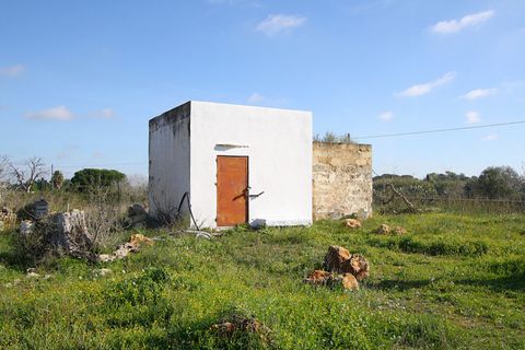 Helårsgrund i Alezio, Lecce, Alezio - € 79.000 | Ref: ALRIM-79 - foto 1