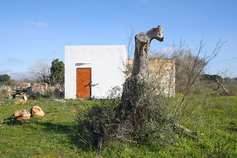 Helårsgrund i Alezio, Lecce, Alezio - € 79.000 | Ref: ALRIM-79 - foto 2