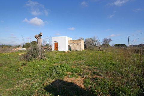 Helårsgrund i Alezio, Lecce, Alezio - € 79.000 | Ref: ALRIM-79 - foto 4