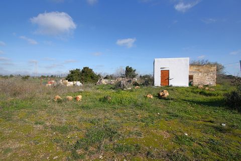 Helårsgrund i Alezio, Lecce, Alezio - € 79.000 | Ref: ALRIM-79 - foto 5