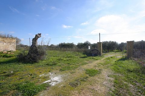 Helårsgrund i Alezio, Lecce, Alezio - € 79.000 | Ref: ALRIM-79 - foto 6