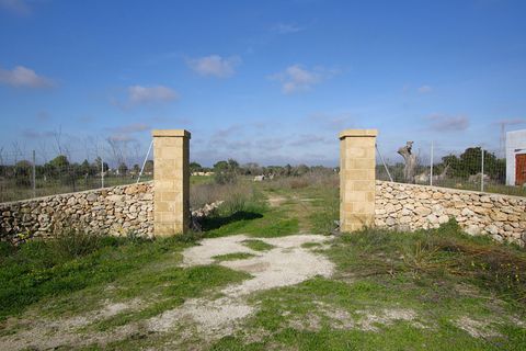 Helårsgrund i Alezio, Lecce, Alezio - € 79.000 | Ref: ALRIM-79 - foto 7