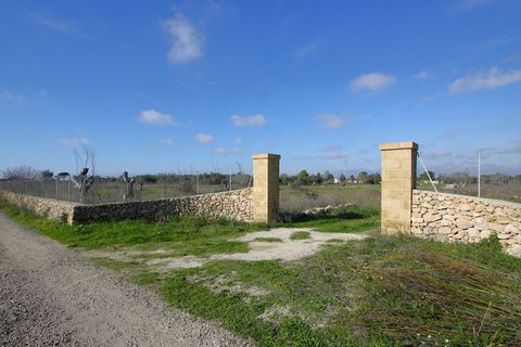 Helårsgrund i Alezio, Lecce, Alezio - € 79.000 | Ref: ALRIM-79 - foto 11