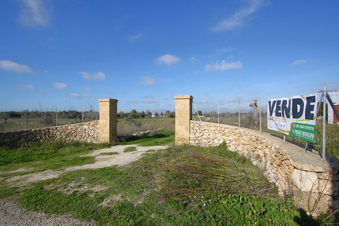 Helårsgrund i Alezio, Lecce, Alezio - € 79.000 | Ref: ALRIM-79 - foto 12