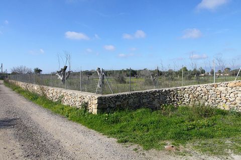 Helårsgrund i Alezio, Lecce, Alezio - € 79.000 | Ref: ALRIM-79 - foto 13