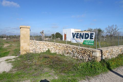 Helårsgrund i Alezio, Lecce, Alezio - € 79.000 | Ref: ALRIM-79 - foto 15