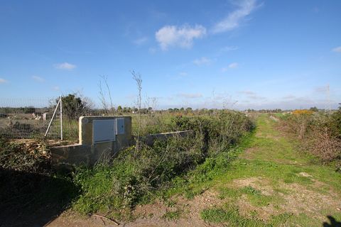 Helårsgrund i Alezio, Lecce, Alezio - € 79.000 | Ref: ALRIM-79 - foto 20