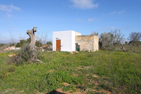 Helårsgrund i Alezio, Lecce, Alezio - € 79.000 | Ref: ALRIM-79 - foto 22