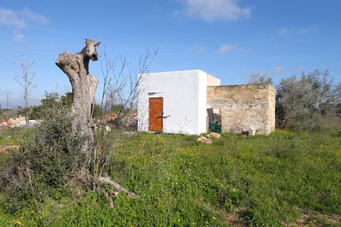 Helårsgrund i Alezio, Lecce, Alezio - € 79.000 | Ref: ALRIM-79 - foto 23