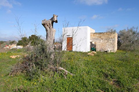 Helårsgrund i Alezio, Lecce, Alezio - € 79.000 | Ref: ALRIM-79 - foto 25